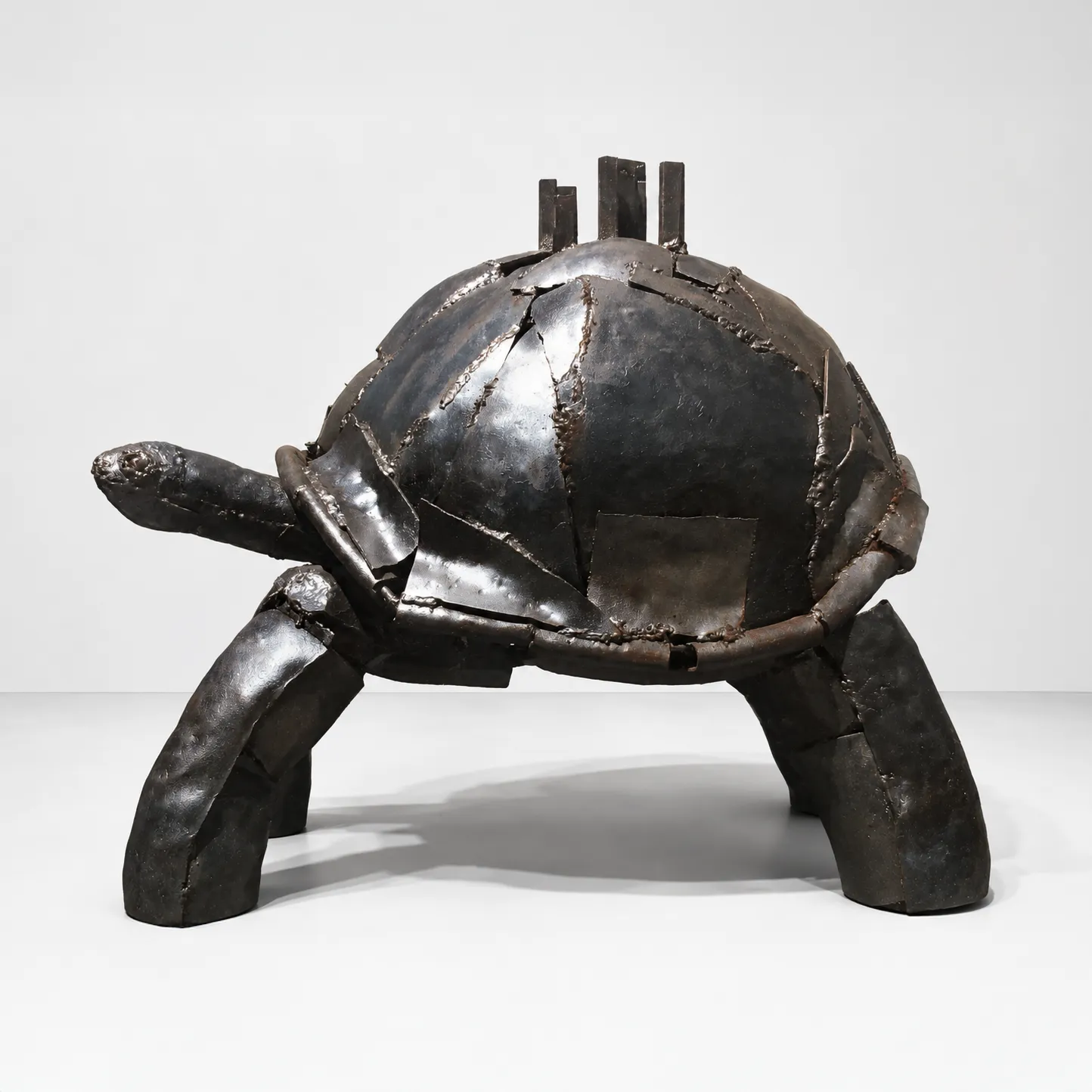 Turtle Island